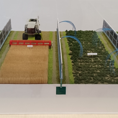riproduzione in scala stabilimento agrigolo